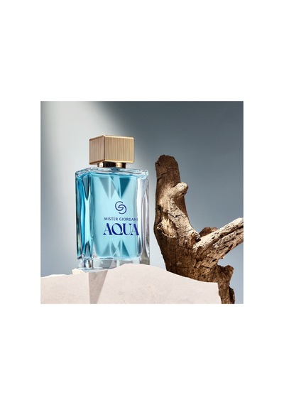 Giordani Gold Mister Giordani Aqua Eau De Parfum Diğer