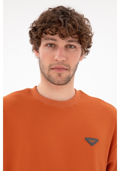 U.S. Polo Assn. Erkek Comfort Fit Bisiklet Yaka Tarçın Sweatshirt 50290777-VR191