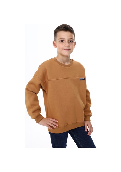 Toontoy Kids Toontoy Erkek Çocuk Sweatshirt Kahverengi