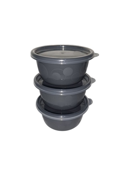 Tick Tock Hava Sızdırmaz Saklama Kabı Antrasit 3'lü Set 3 x 250 ML Antrasit