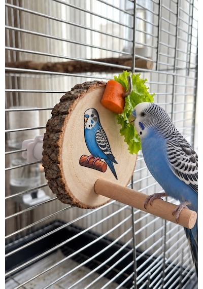 Mivra Pets Doğal Ahşap Kuş Sebzelik Ve Meyve Tutucu