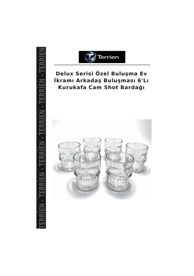 Delux Serisi Özel Buluşma Ev İkramı Arkadaş Buluşması 6'lı Kurukafa Cam Shot Bardağı