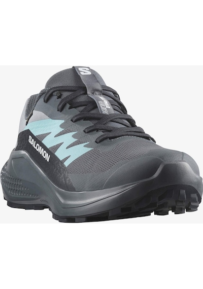 Salomon Kadın Koşu/fıtness Ayakkabı Alphaglıde Gore-tex L47802500 Gri