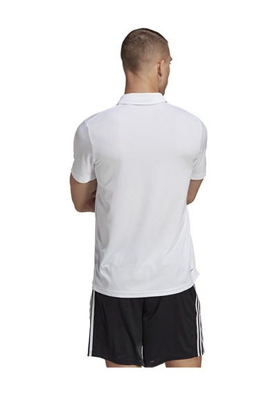 Adidas Tr-Es Base Polo Erkek Antrenman Polo Tişörtü Ib8105 Beyaz 001