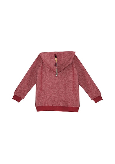 Ejderha Erkek Çocuk Kapişonlu Sweatshirt
