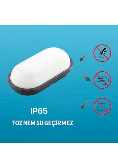 Aydos 15w Siyah Ip65 Oval Led Tavan Ve Duvar Lambası 1500 Lümen Beyaz Işık Su Ve Toz Geçirmez Banyo Bahçe Balk