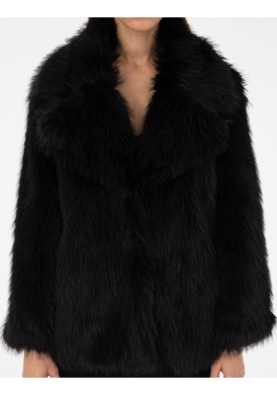 Pierre Cardin Kadın Siyah Mont 50295330-vr046 Siyah