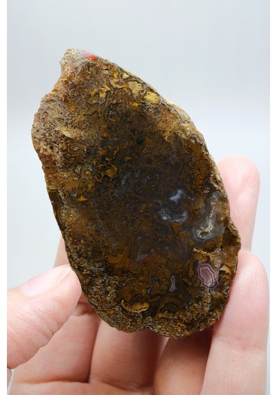 Süslü Altın Oker Ve Bronz Tüy Siyah Deniz Akik Taşı İle Yumuşak Pembe Surlar