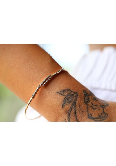 Reis Kuyumculuk T9604 Claw Brown Bangle Altın Bilezik
