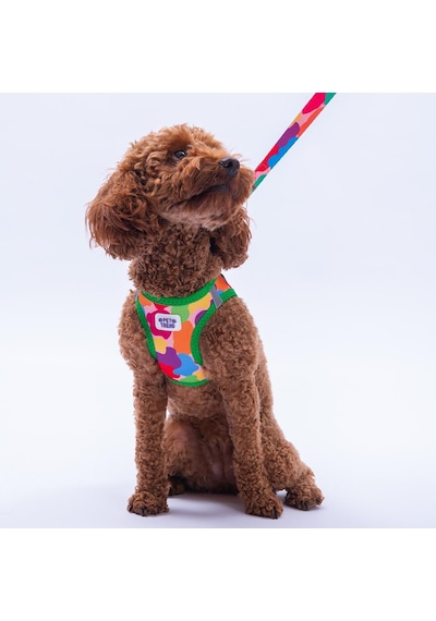Rainbow Crew Göğüs Tasması Ve Sevk Kayışı Tasma Seti Renkli Kedi Köpek Göğüs Tasması Seti M Çok Renkli