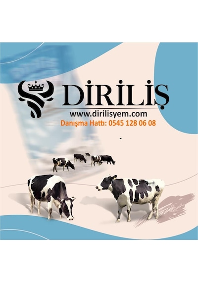 Diriliş Megapanzehir 25 Kg Yem Katkı Toksin Bağlayıcı