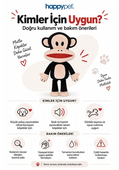 Happy Pet Paul Frank Julius Lisanslı Small Boy Peluş Köpek Oyuncağı