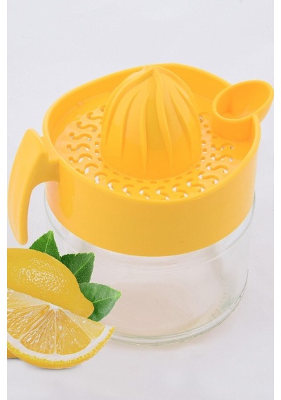 Cam Limon Sıkacağı Gore Diğer