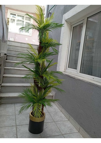 Areka Palmiye Ağacı 6 Gövde 54 Yaprak 180 Cm Gold Kemerli Siyah Metal Lüks Vazoda Yapay Ağaç