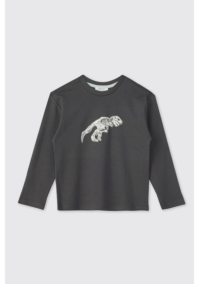 Panço Erkek Çocuk Dinazor Baskılı Pijama Takımı Antrasit