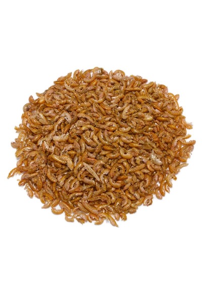 Orijin Gammarus Yem 750 G