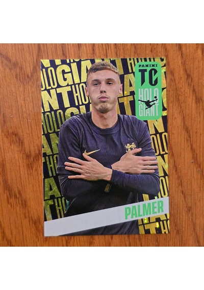 Top Class Holo Giant Palmer Oyun Kartı