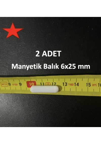 Lab Manyetik Balık 6x25 Mm - 2 Adet