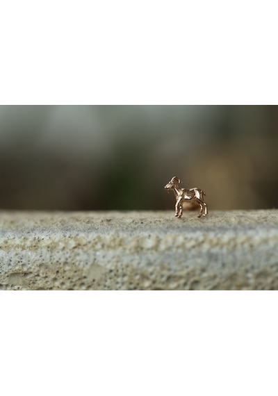 Reis Kuyumculuk T9705 The Goat Tragus Altın  Küpe