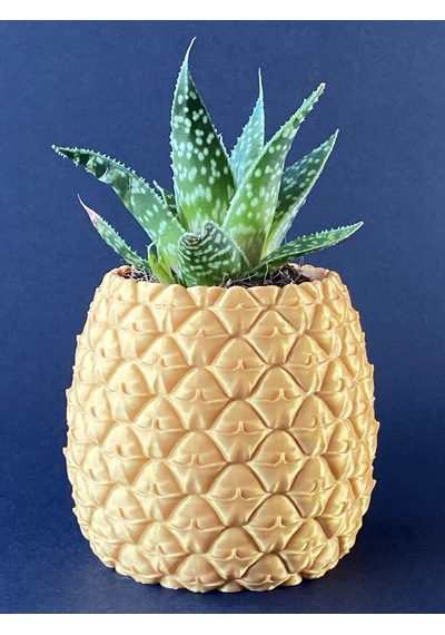 3d Baskı Ananas Formlu Saksı Ve Kalemlik Kabartma Dokulu Sukulent Saksısı Masaüstü Bitki Ve Kalem Tu