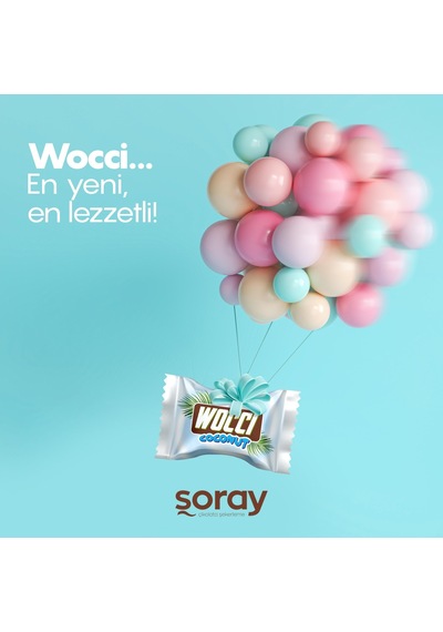 Şoray Wocci Coconut Sütlü Kokolin Hindistan Cevizli Bar 960 G