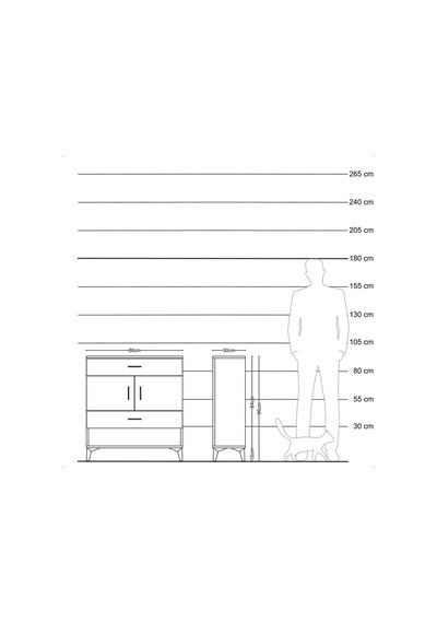 Arges Şifonyer 2 Raflı 2 Çekmeceli 2 Kapaklı 88x30x96 Antrasi... Antrasit
