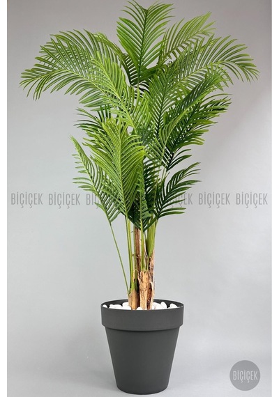 Biçiçek Yapay Areka Ağaci 220 Cm 4 Gövdeli̇ Antresi̇t Yali Saksıda
