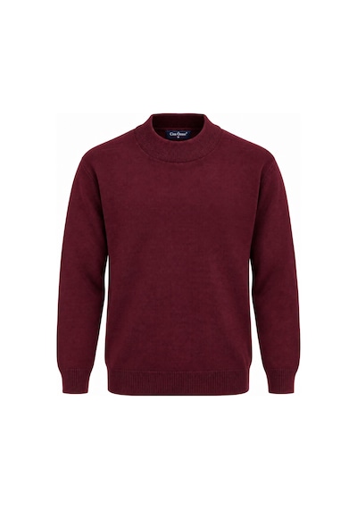 Classics Men Regular Fit Yarım Balıkçı Yaka Basic Triko Kazak 7812 Bordo