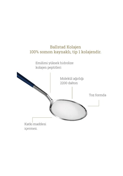 Somon Kolajen Aylık Ambalajda Başlangıç Kutusu