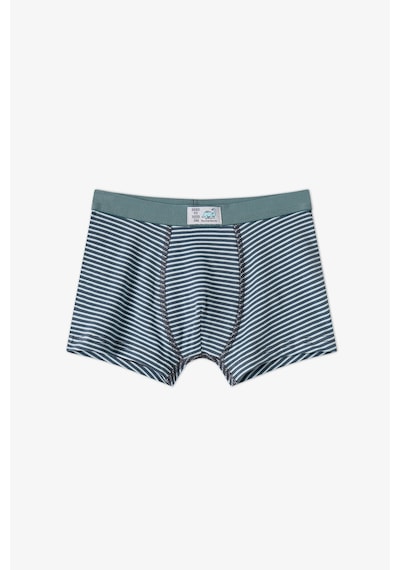 Penti Erkek Çocuk Mavi Dino Dash Pamuklu 3lü Boxer