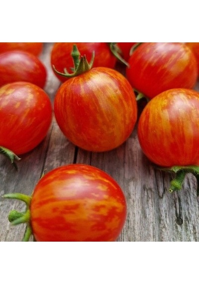 Süpernova Cherry Domates Tohumu 15 Tohum