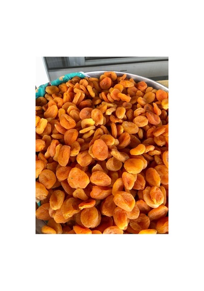 Sarı Kayısı 1000gr Diğer
