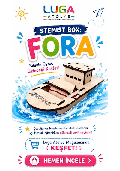 Stemist Box: Fora Ahşap