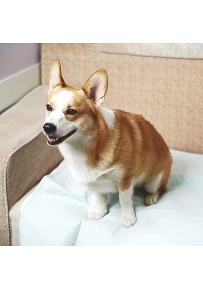 Tr Köpekler İçin Yıkanabilir Pee Pedleri, 2'li Paket Yeniden Kullanılabilir Köpek Pedleri Su Geçirmez Pet Whelping