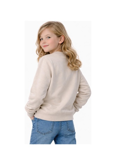 Kız Çocuk Sweatshirt Bgl-st05271 Taş