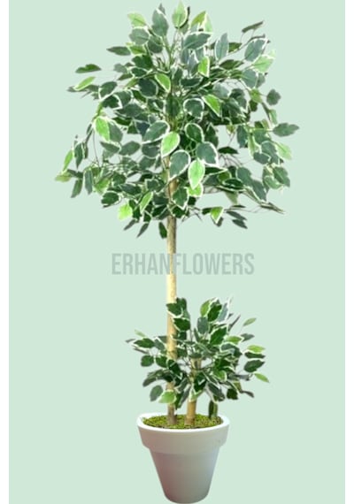 130 Cm Ficus Yapay Ağaç Bambu 2 Gövdeli Beyaz Plastik Saksı Yeşil