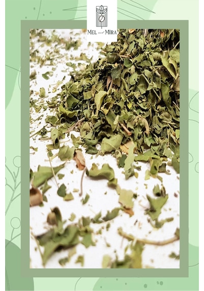 Premium Moringa Çayı 70g, Moringa Leafs, Moringa Oleifera