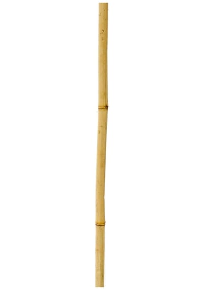 Bambu Sopası 210 cm 19-20mm Bambu Çubuğu 5 ADET