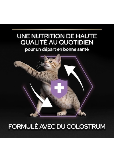 Sterilised Yavru Kediler İçin Tavuklu Kuru Mama 400 Gram