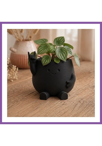 Bezos 3d Baskı Smiley Face Planter - Gülümseyen Karakterli Saksı-siyah Bzoshb Standart