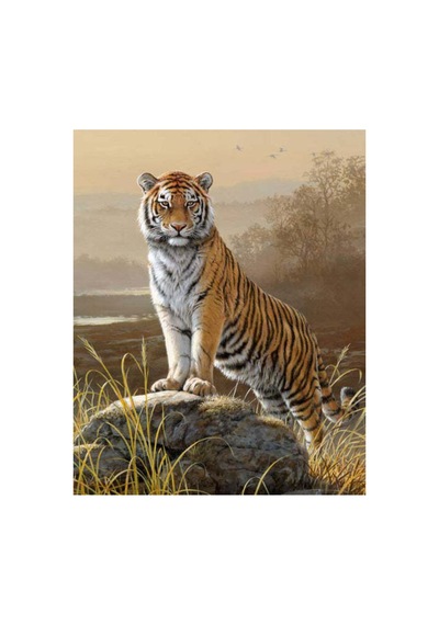 Majestik Kaplan Sticker Çerçevesiz 90x110 Sayılarla Boyama Hobi Seti