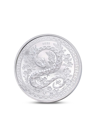 Agakulche Yılan Figürlü Gümüş Sikke Coin
