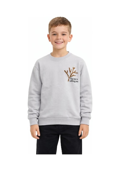 Baglan Erkek Çocuk Önü Baskılı Sweatshirt Bgl-st05238 Gri