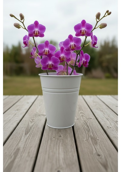 Konik Metal Saksı & Vazo - 25 Cm Dekoratif Çok Amaçlı Renkli Çiçeklik 25x23/15 Cm Beyaz