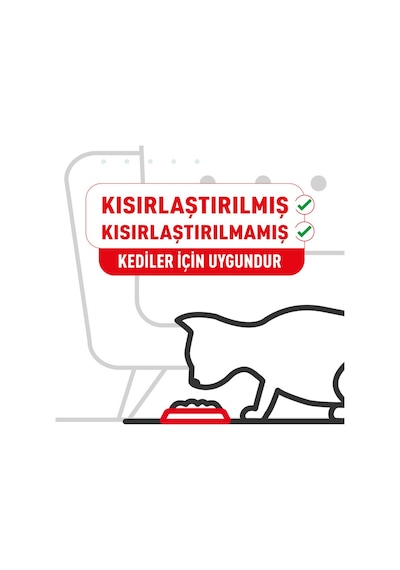 Royal Canin Hair&skin Tüy Ve Deri Sağlığı İçin Jöle İçerisinde Yaş Kedi Maması 12 X 85g