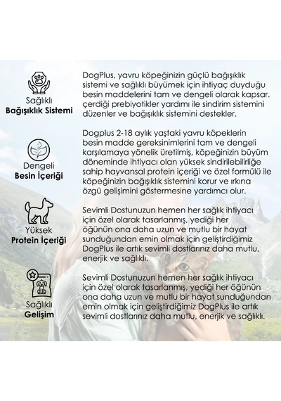 DogPlus Kuzu Etli Pirinçli Yavru Köpek Maması 15 KG