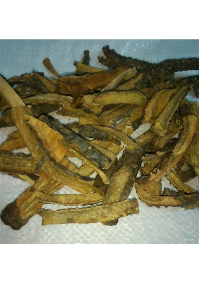 As Baharat Işkın Kökü 1. Kalite 1 Kg