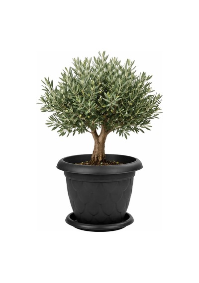 Omnipazar So-d010 Damla Desen Tabaklı Saksı Takımı 25 Litre No:10 Antrasit 116