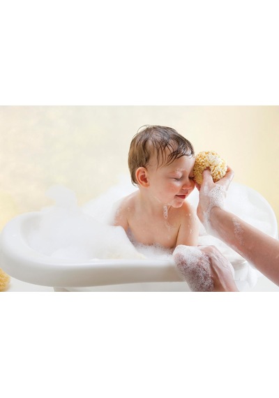 Lexroo %100 Doğal Akdeniz Süngeri - Bebek Banyo Süngeri 8 - Kutulu