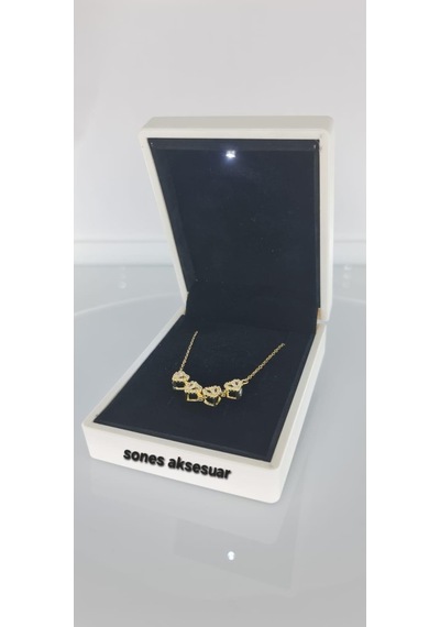 Işıklı Kutulu Yonca Çelik Kolye 054 Gold